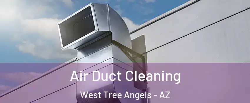 Air Duct Cleaning West Tree Angels - AZ