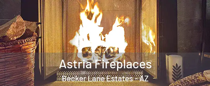 Astria Fireplaces Becker Lane Estates - AZ