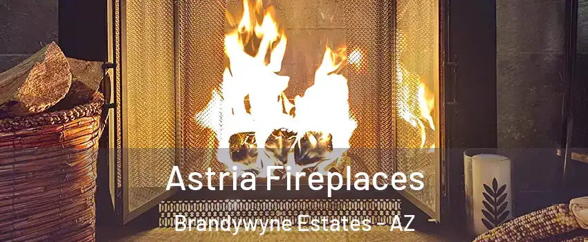 Astria Fireplaces Brandywyne Estates - AZ