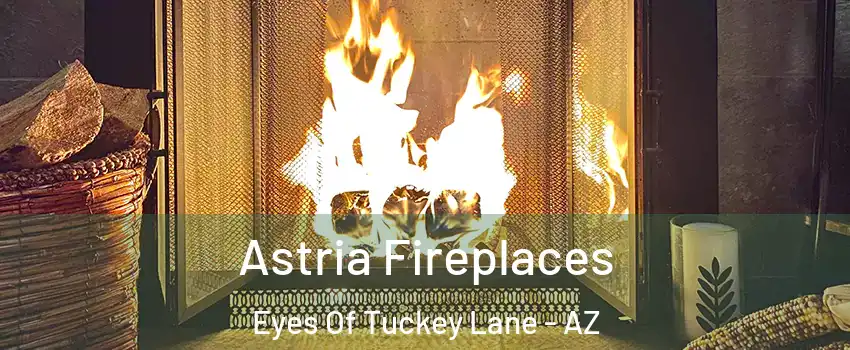 Astria Fireplaces Eyes Of Tuckey Lane - AZ