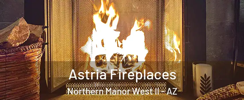 Astria Fireplaces Northern Manor West II - AZ