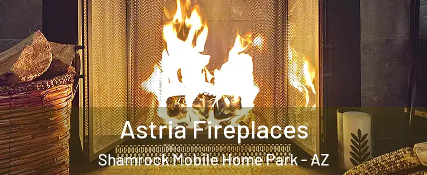 Astria Fireplaces Shamrock Mobile Home Park - AZ