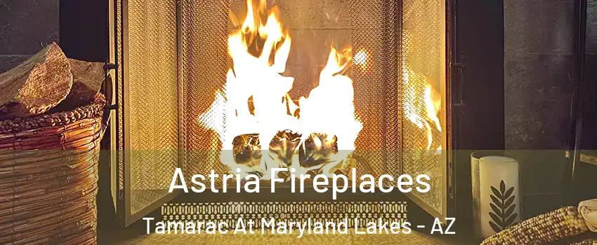 Astria Fireplaces Tamarac At Maryland Lakes - AZ