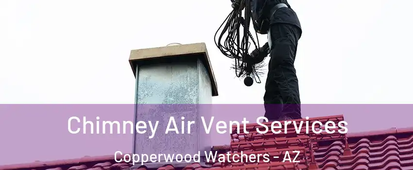 Chimney Air Vent Services Copperwood Watchers - AZ