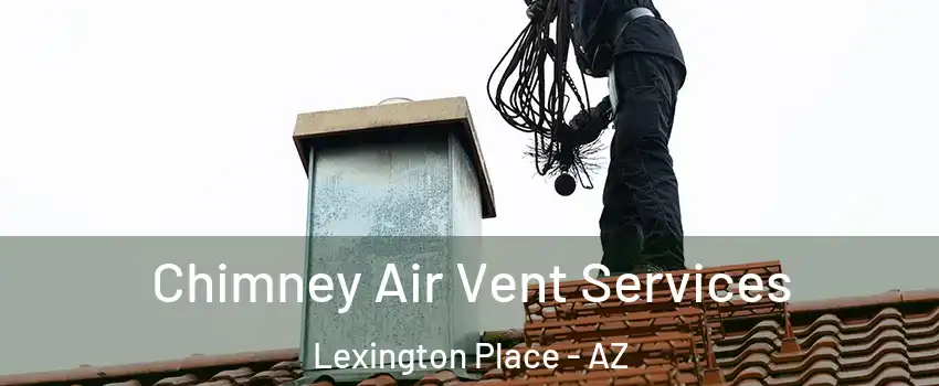 Chimney Air Vent Services Lexington Place - AZ