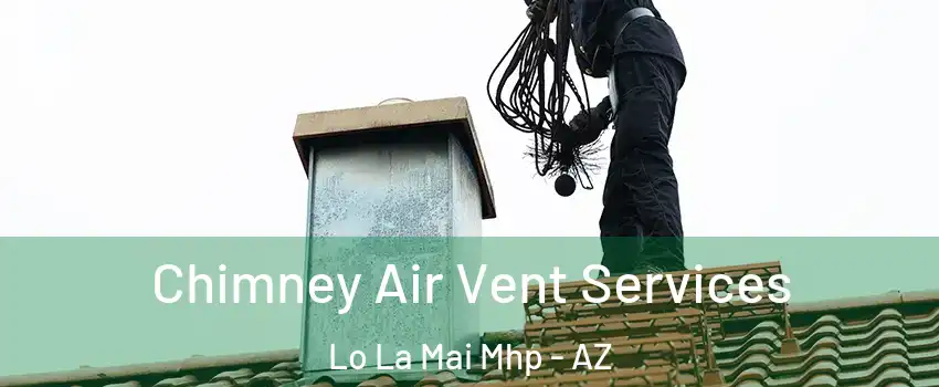 Chimney Air Vent Services Lo La Mai Mhp - AZ