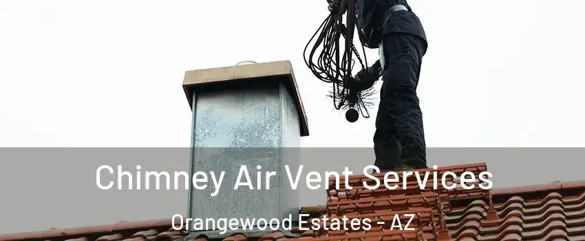Chimney Air Vent Services Orangewood Estates - AZ