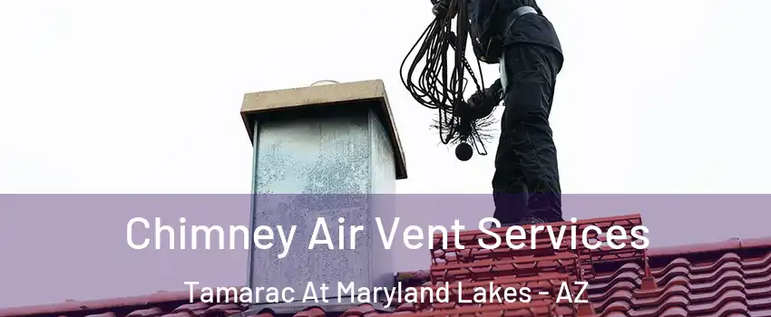 Chimney Air Vent Services Tamarac At Maryland Lakes - AZ