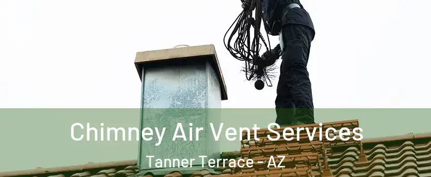 Chimney Air Vent Services Tanner Terrace - AZ