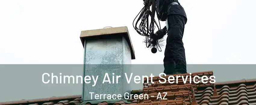 Chimney Air Vent Services Terrace Green - AZ