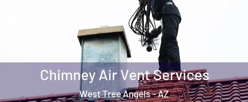 Chimney Air Vent Services West Tree Angels - AZ