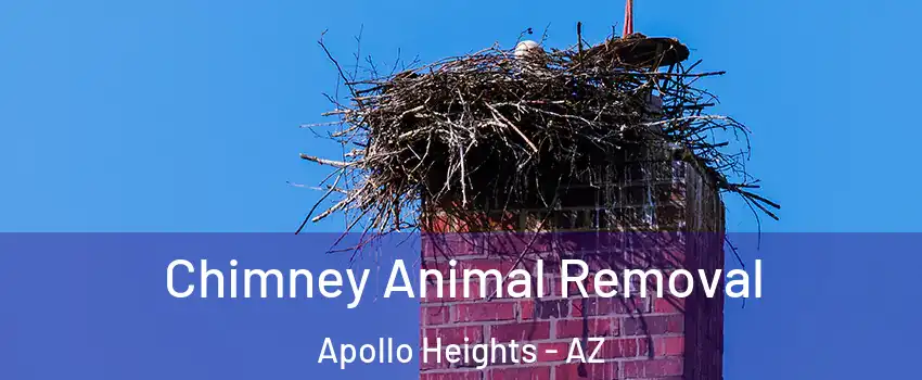 Chimney Animal Removal Apollo Heights - AZ