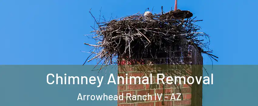 Chimney Animal Removal Arrowhead Ranch IV - AZ