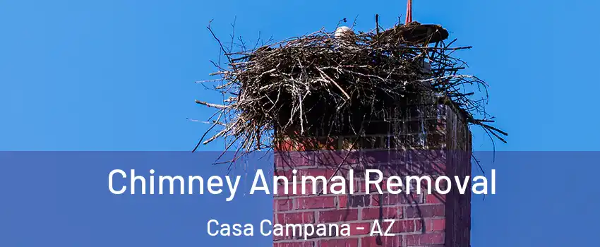 Chimney Animal Removal Casa Campana - AZ
