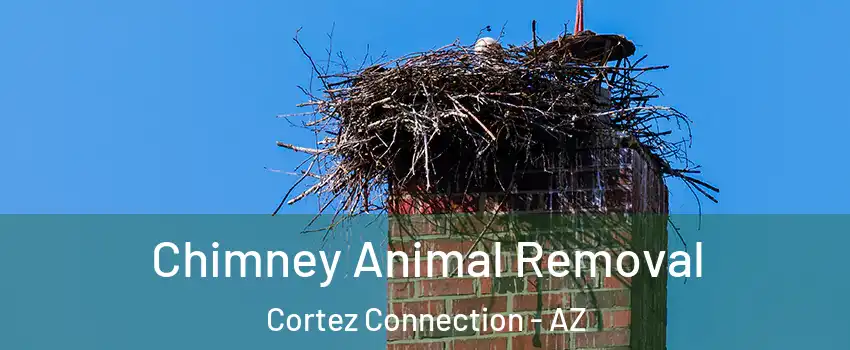 Chimney Animal Removal Cortez Connection - AZ