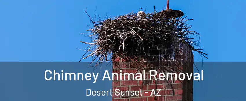 Chimney Animal Removal Desert Sunset - AZ