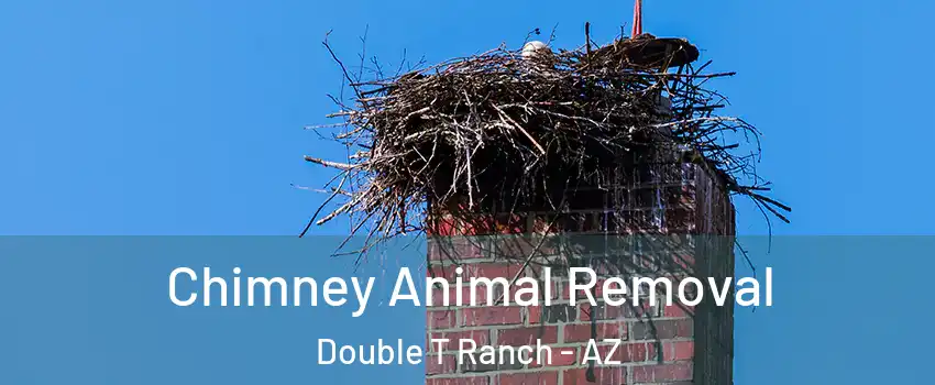 Chimney Animal Removal Double T Ranch - AZ
