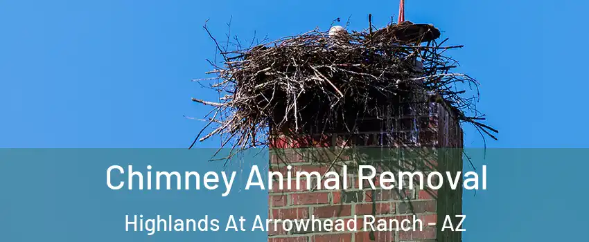 Chimney Animal Removal Highlands At Arrowhead Ranch - AZ