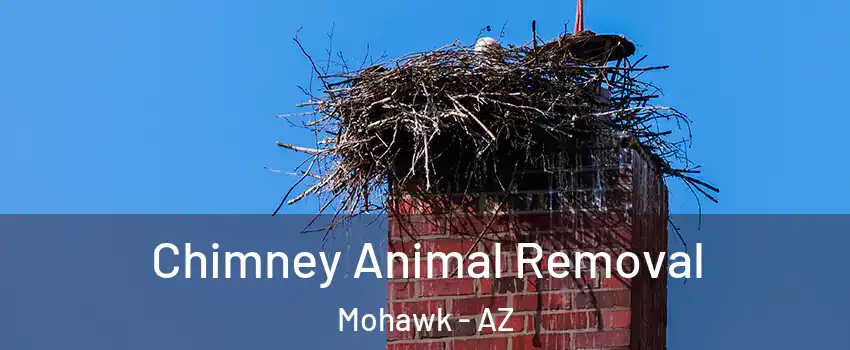 Chimney Animal Removal Mohawk - AZ