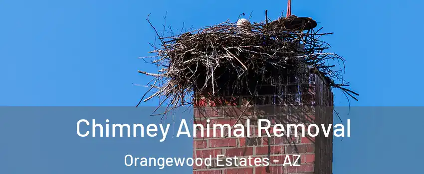 Chimney Animal Removal Orangewood Estates - AZ