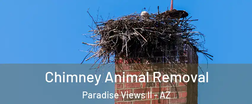 Chimney Animal Removal Paradise Views II - AZ