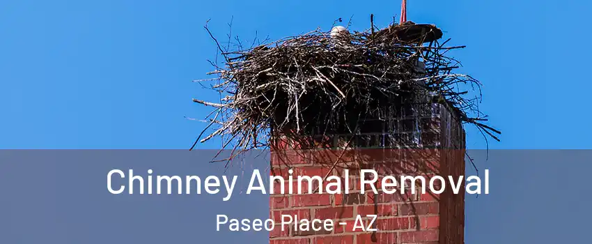 Chimney Animal Removal Paseo Place - AZ