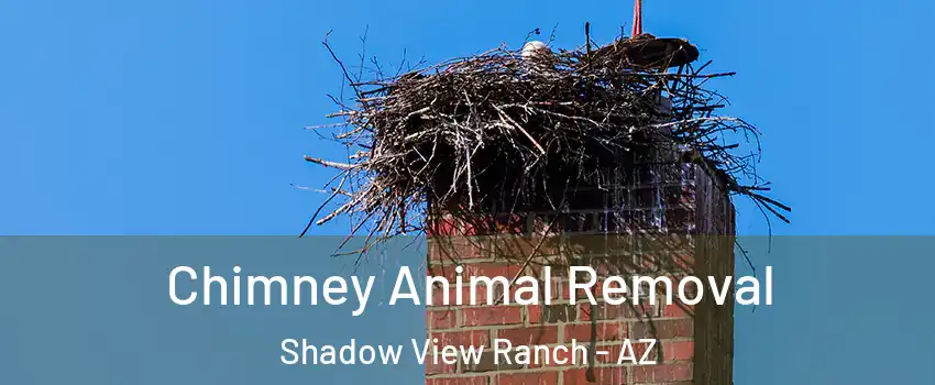 Chimney Animal Removal Shadow View Ranch - AZ