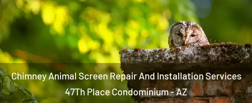 Chimney Animal Screen Repair And Installation Services 47Th Place Condominium - AZ