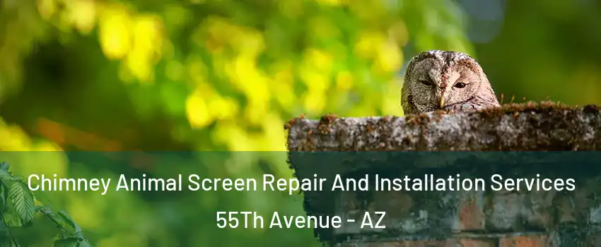 Chimney Animal Screen Repair And Installation Services 55Th Avenue - AZ