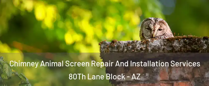 Chimney Animal Screen Repair And Installation Services 80Th Lane Block - AZ