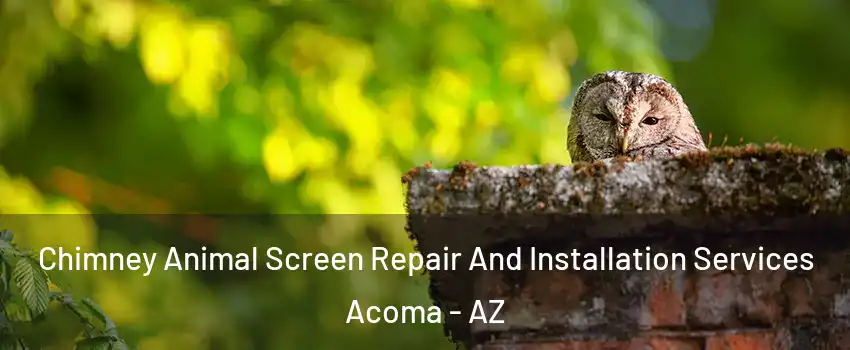 Chimney Animal Screen Repair And Installation Services Acoma - AZ