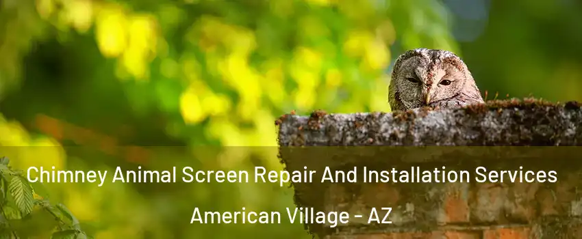 Chimney Animal Screen Repair And Installation Services American Village - AZ