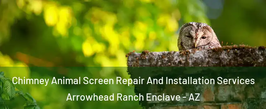 Chimney Animal Screen Repair And Installation Services Arrowhead Ranch Enclave - AZ