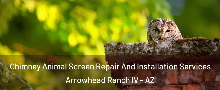 Chimney Animal Screen Repair And Installation Services Arrowhead Ranch IV - AZ