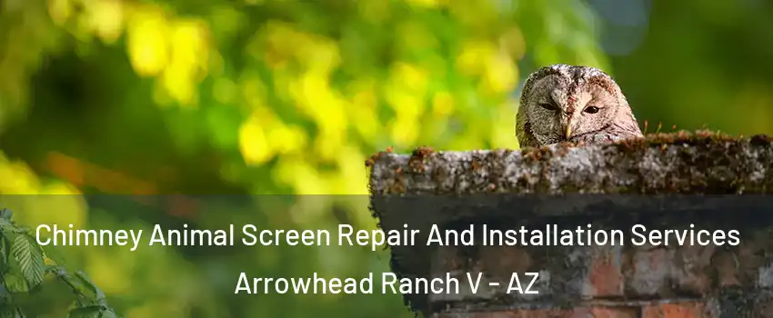 Chimney Animal Screen Repair And Installation Services Arrowhead Ranch V - AZ