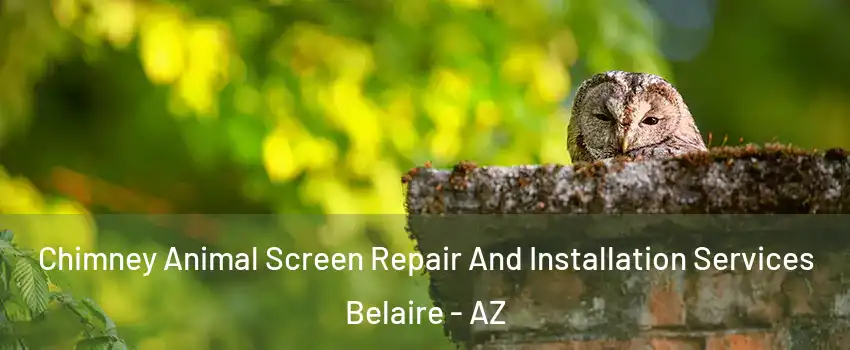 Chimney Animal Screen Repair And Installation Services Belaire - AZ