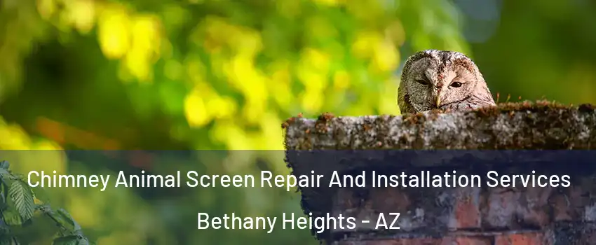 Chimney Animal Screen Repair And Installation Services Bethany Heights - AZ