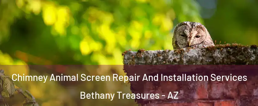 Chimney Animal Screen Repair And Installation Services Bethany Treasures - AZ