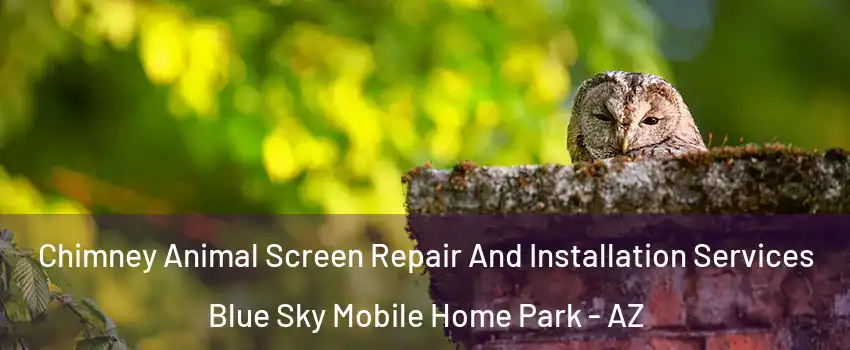 Chimney Animal Screen Repair And Installation Services Blue Sky Mobile Home Park - AZ
