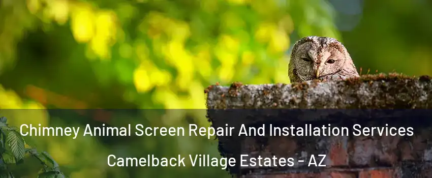 Chimney Animal Screen Repair And Installation Services Camelback Village Estates - AZ