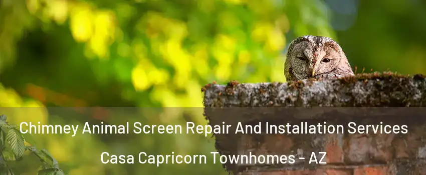 Chimney Animal Screen Repair And Installation Services Casa Capricorn Townhomes - AZ