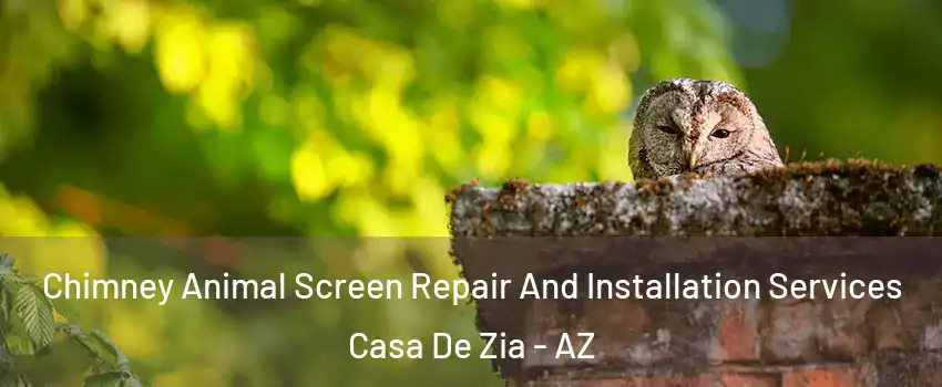 Chimney Animal Screen Repair And Installation Services Casa De Zia - AZ