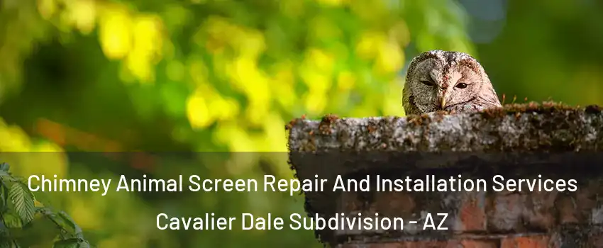 Chimney Animal Screen Repair And Installation Services Cavalier Dale Subdivision - AZ