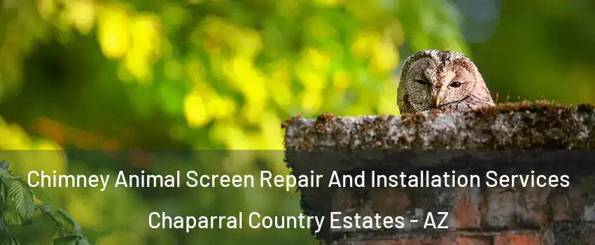 Chimney Animal Screen Repair And Installation Services Chaparral Country Estates - AZ