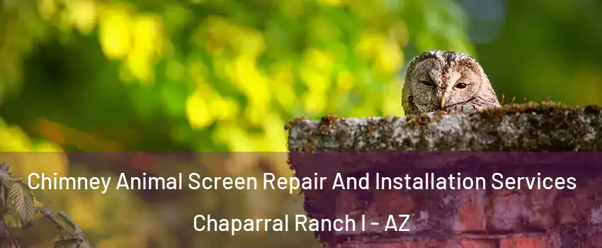 Chimney Animal Screen Repair And Installation Services Chaparral Ranch I - AZ