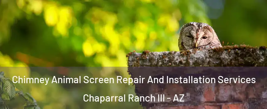 Chimney Animal Screen Repair And Installation Services Chaparral Ranch III - AZ