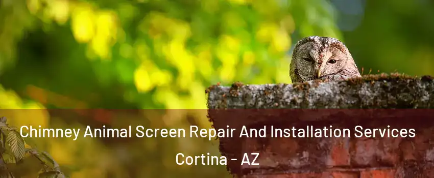 Chimney Animal Screen Repair And Installation Services Cortina - AZ