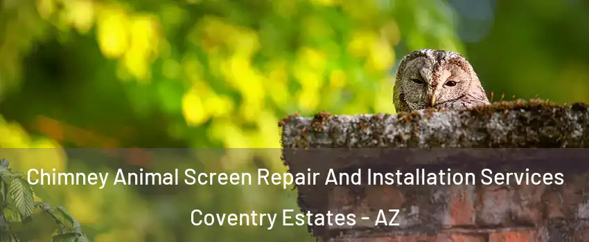 Chimney Animal Screen Repair And Installation Services Coventry Estates - AZ