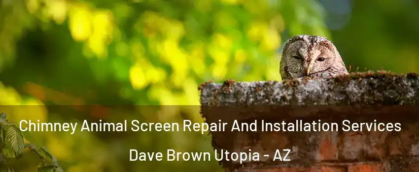 Chimney Animal Screen Repair And Installation Services Dave Brown Utopia - AZ