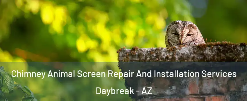 Chimney Animal Screen Repair And Installation Services Daybreak - AZ